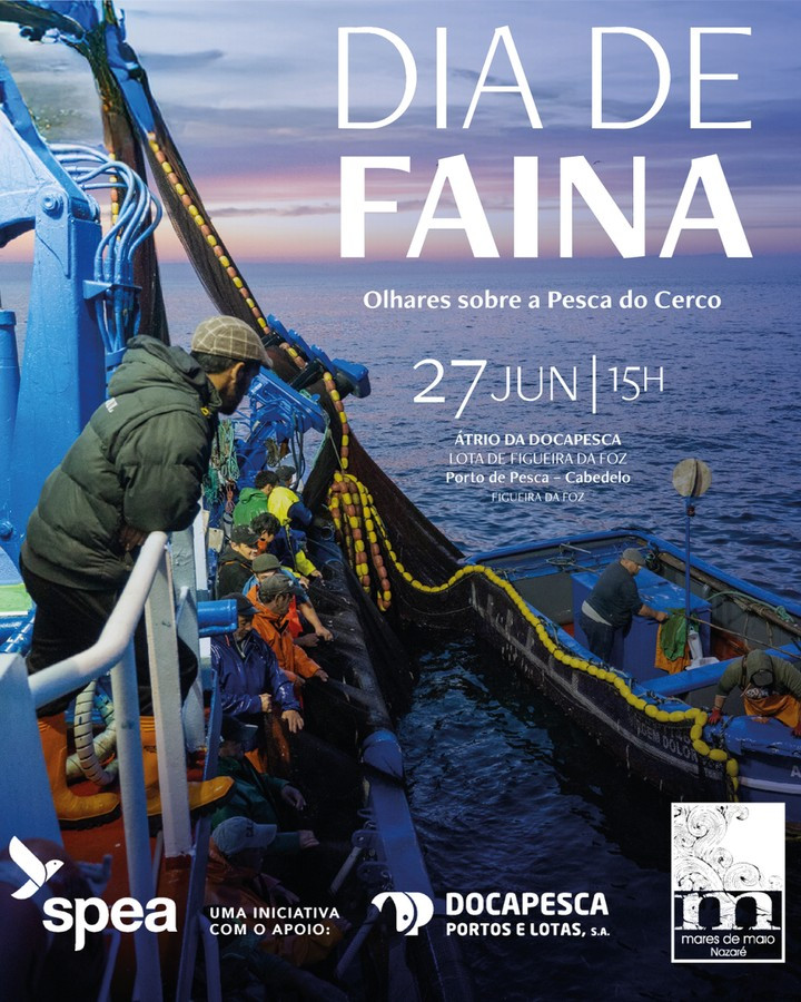 docapesca figueira da foz dia de faina exposicao 2025