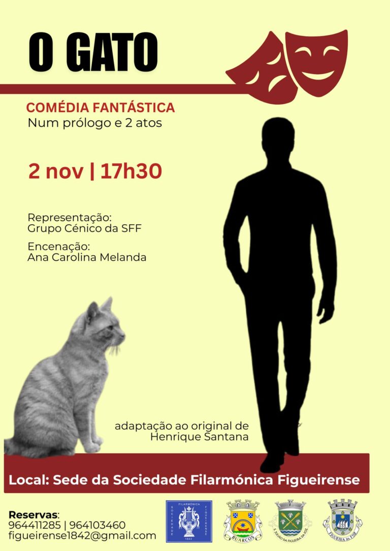 O Gato_ 2NOV