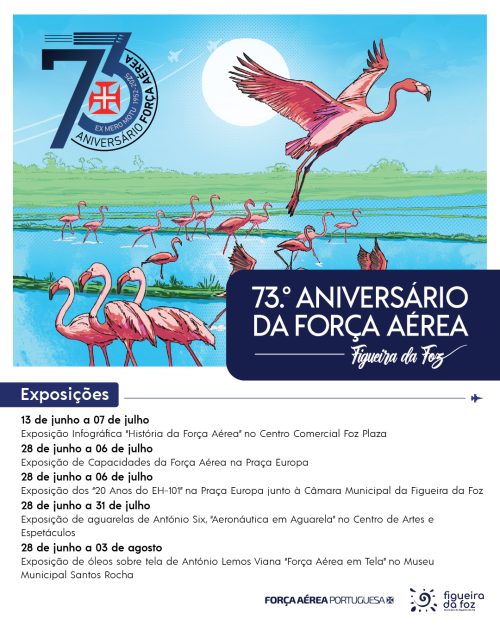 Força Aerea